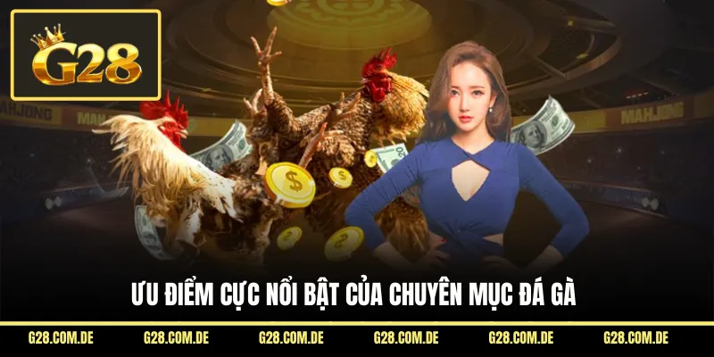 Ưu điểm cực nổi bật của chuyên mục đá gà